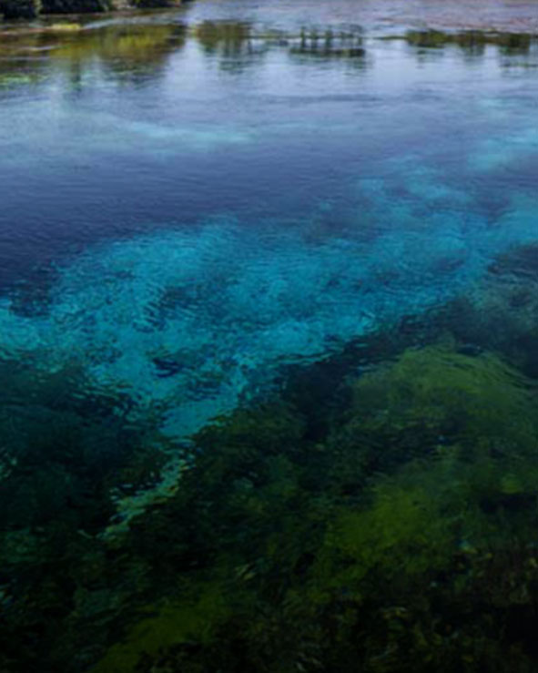 Welcome to Bookme online bookings for activities and attractions in New Zealand's Abel Tasman , Nelson and Picton regions. Find fantastic deals and discounts on activities and adventures including, Abel Tasman kayaking, scenic flights, Farewell spit eco tours, mountain biking, Buller river rafting and Abel Tasman skydiving.